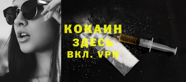 шишки Балахна