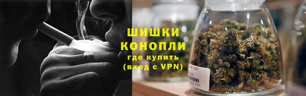 шишки Балахна