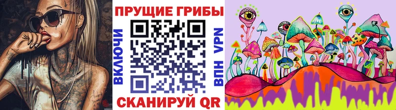 Псилоцибиновые грибы Cubensis как найти закладки Ленск